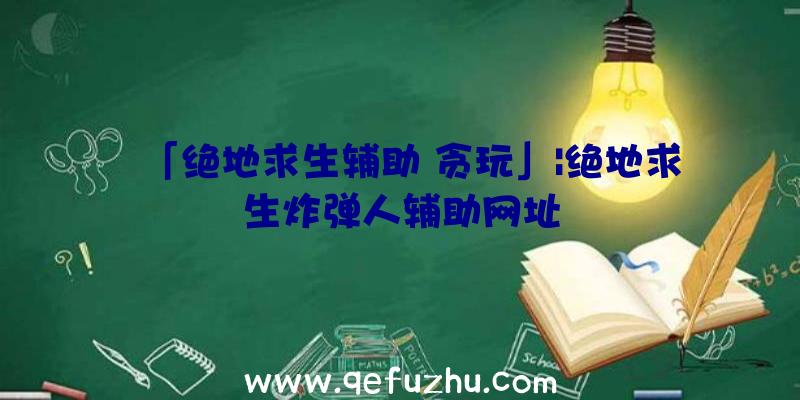 「绝地求生辅助